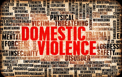 violence domestic defense aggressive false charges